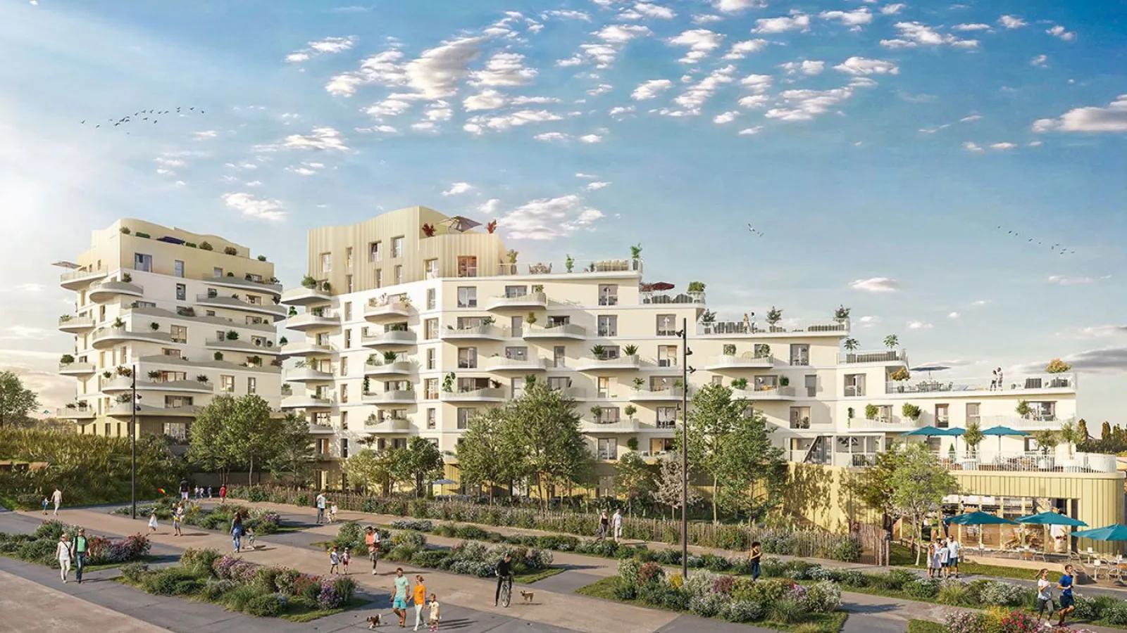 Hoya, Dunkerque